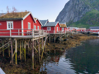 Fototapeta na wymiar Rote Fischerhütten in Reine, Norwegen