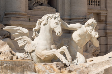 Triton and Hippocamp. Detail of the Trevi fountain, Rome, Italy