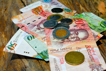 South african countries banknotes and coins for background. Botswana pula