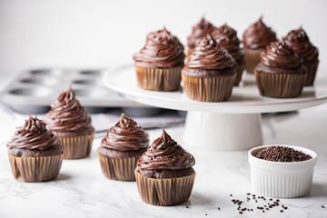 chocolate cupcake on marble background