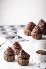 chocolate cupcake on marble background