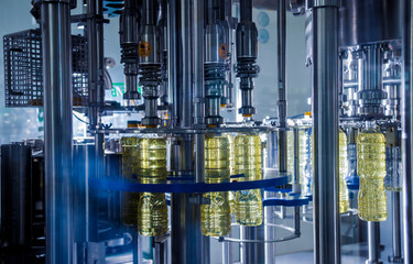 Bottling line of sunflower oil in bottles. Vegetable oil production plant. High technology.