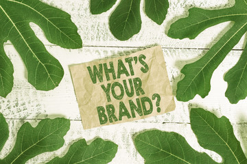 Word writing text What S Your Brand Question. Business photo showcasing asking about product logo does or what you communicate