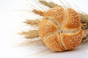 Fresh bread and spikes on white background