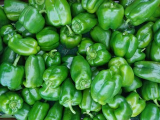 Obraz na płótnie Canvas Green Peppers 