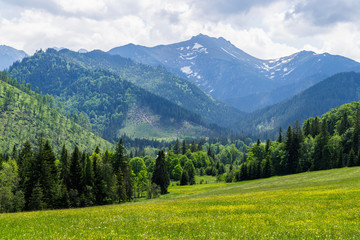 Fototapeta na wymiar Belianske Tatras mountains in summer, Slovakia