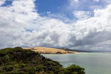 Obraz premium view from viewpoint near Opononi, New Zealand