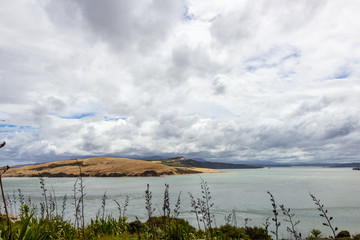 view from viewpoint near Opononi, New Zealand