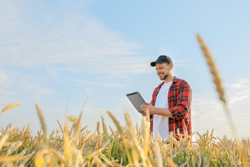 Farmer in field on sunny day