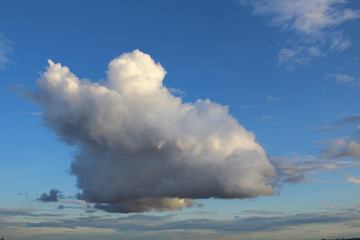 Fototapeta premium Paris