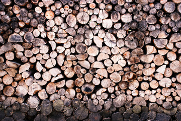 sawn and deposited beech firewood