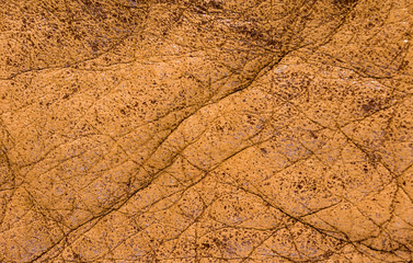 Old vintage genuine soft brown leather texture background, top layer with pores and scratches,...