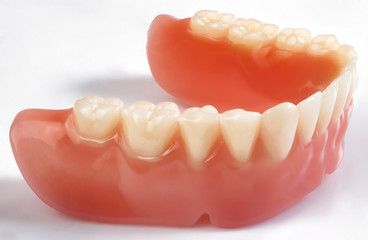 Close up of a Dental implant model,denture on white background, dental plate