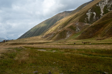Truso, Georgia