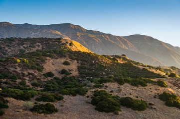 Warm morning sun in the San Gabriel mountains in California.