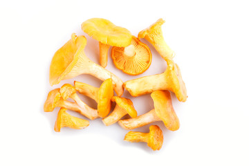 Bunch of chanterelle mushrooms isolated on white background.