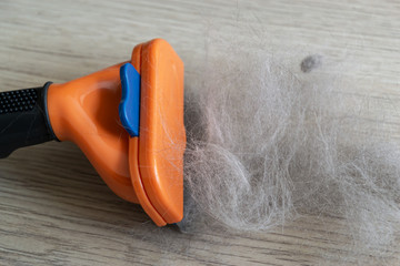 The comb of pet slicker brush with cat fur clump after grooming