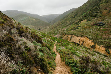 Pathway in the mountains with green brush