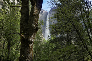 Flowing Yosemite Falls in Yosemite National Park