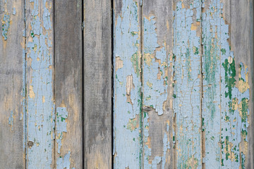 Background from gray wooden planks top view. Wooden background with peeling dried blue paint. Old painted fence made of wooden boards.