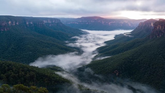 Timelapse of mist / fog moving on the valley floor in the Blue Mountains at sunrise - Evans Lookout, Gross Valley