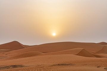 Fototapeta na wymiar Rub' al Khali desert at sunrise in Liwa, Al Dhafra, Abu Dhabi, United Arab Emirates.