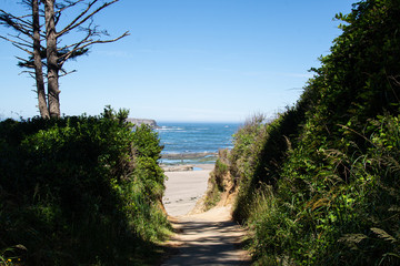 Trail to the beach 