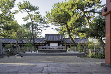 神社の参道