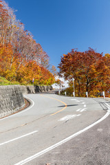 真っ赤に燃える紅葉に感動してみないかい?