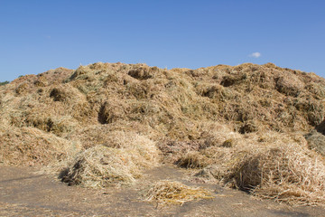 Hay stacks in a rural scene against clear blue sky.