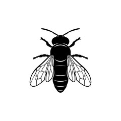 Bee logo design vector. Icon Symbol. Template Illustration
