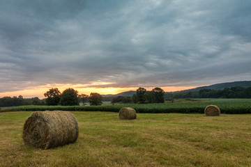 Freshly rolled bales of hay rest on a field at sunrise in Sussex County, NJ, late summer