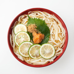 カボスうどん