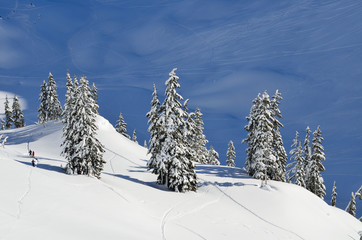 Mount Baker wilderness , WA , USA