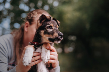 Puppy with girl