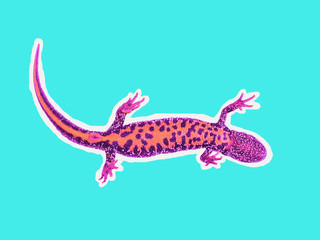 Tinted image of a newt on a turquoise background. Color trend.