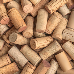 Wine corks Pattern. Various wooden wine corks  as a Background. Top view