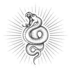 Rattlesnake snake tattoo