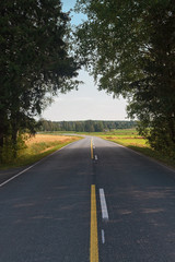 Fototapeta premium Road Through The Forest