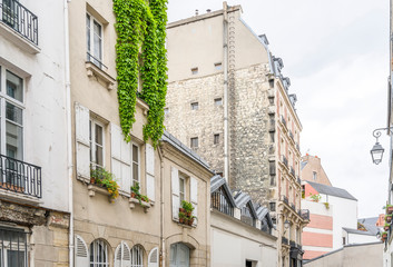 Fototapeta na wymiar Residential high-rise buildings overgrown with ivy