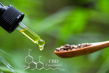  Hemp oil, CBD chemical formula, Cannabis oil in pipette and hemp seeds in a wooden spoon, Medical...