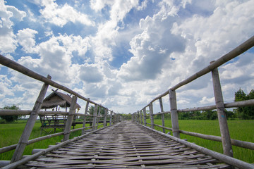 Obraz premium Green rice field with blue sky and cloud.