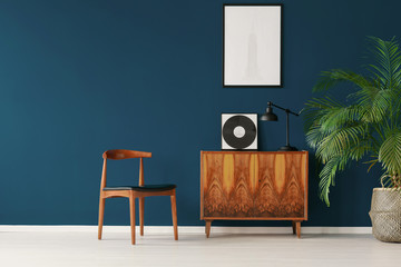 Dark blue living room interior with simple poster on the wall, vinyl and lamp on retro cupboard, fresh plant and chair in real photo