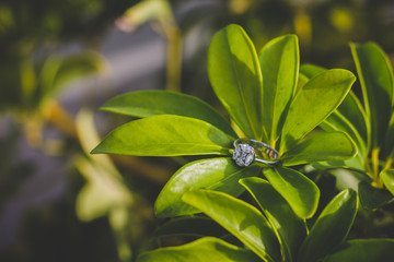Gold ring with beautiful gemstones.