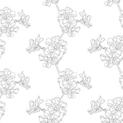 Black and white floral vector seamless pattern. Hand drawn black contours of oleander flowers on white background. Ornate template for design, textile, wallpaper, ceramics, coloring.