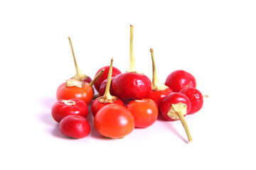 Group of small red chili peppers