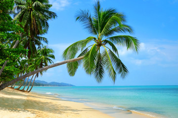 Naklejka na ściany i meble Empty paradise beach, blue sea waves in island. Beautiful tropical island. Holiday and vacation concept.