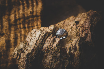 Beautiful diamond ring on wood. Still photographic images.