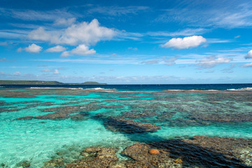 ニューカレドニア ロイヤルティ諸島　マレ島　タディーン海岸のサンゴ礁