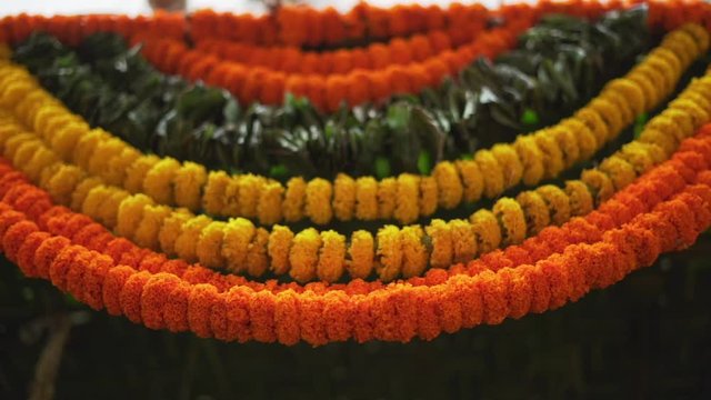 Natural marigold flowers garlands of  yellow flowers, indian festive decoration.